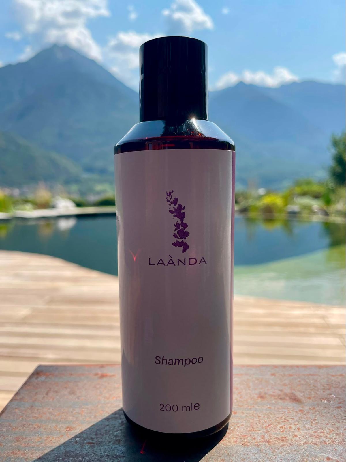 shampoo alla lavanda